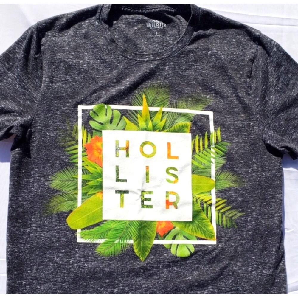 HOLLISTER Short Sleeve Graphic Tee Shirt-Gray-Small